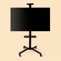 TV Accessoires