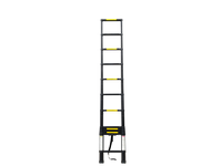Telescopische ladder