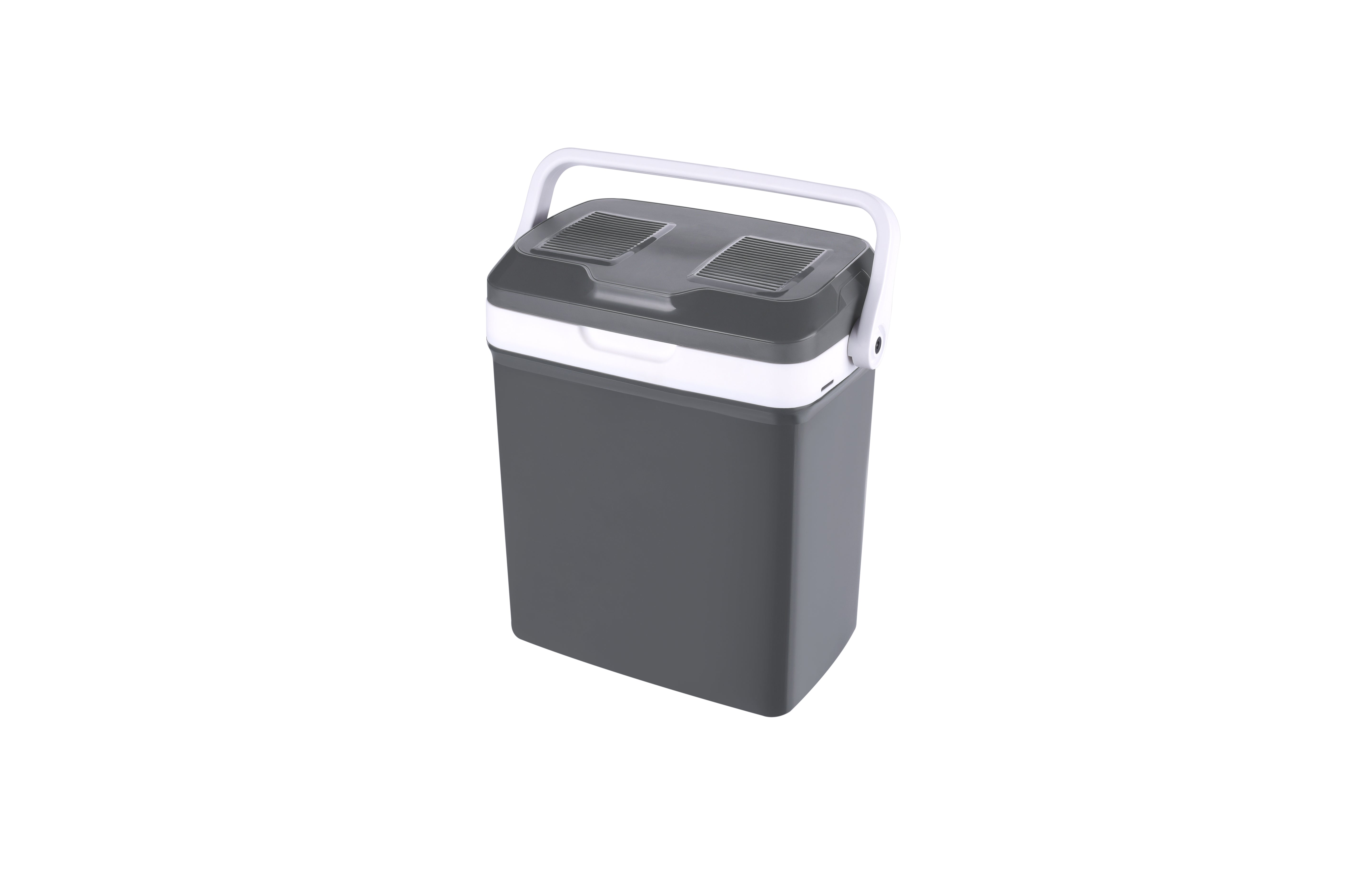 Koelbox 21L Grijs