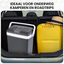 Koelbox 21L Grijs