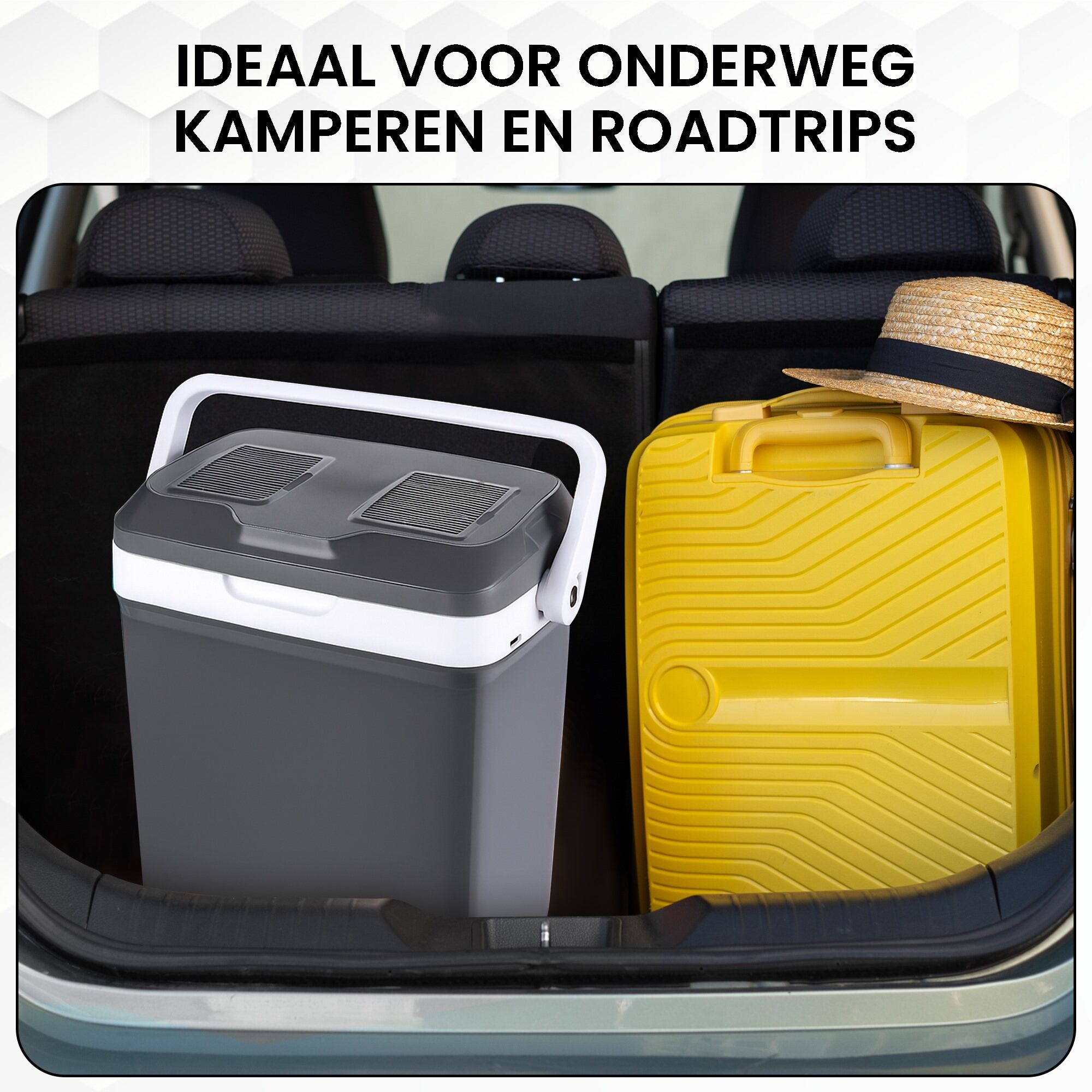 Koelbox 21L Grijs