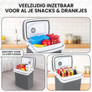 Koelbox 21L Grijs