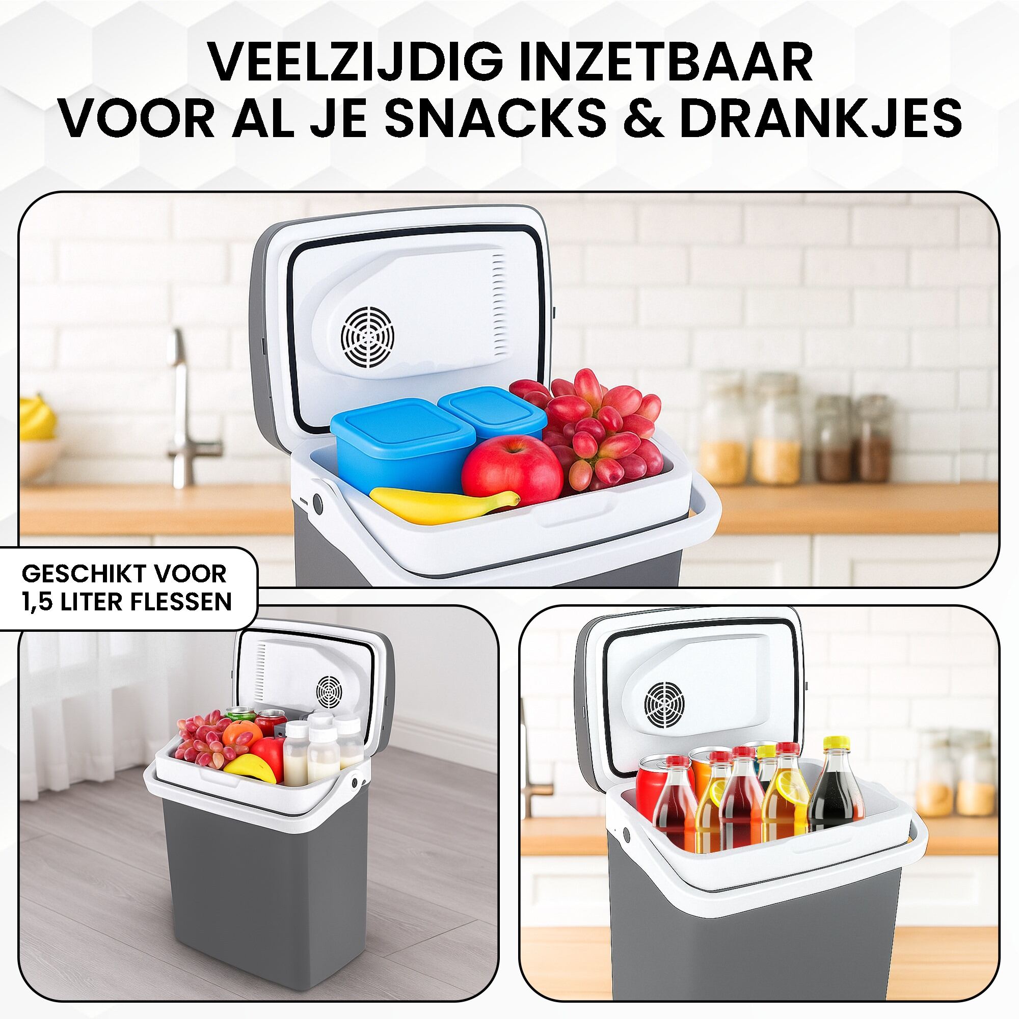 Koelbox 21L Grijs